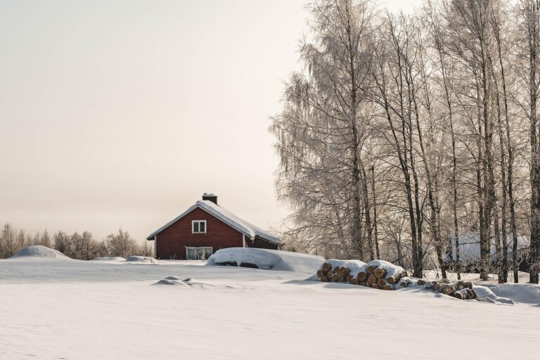 trees, snow, field, farm, winter, cold, icy, horizon, finland, vuokatti, sotkamo, nature, landscape, snow, farm, winter, winter, finland, finland, finland, finland, finland, nature, landscape, landscape